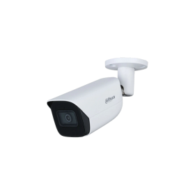 Cámaras de Seguridad